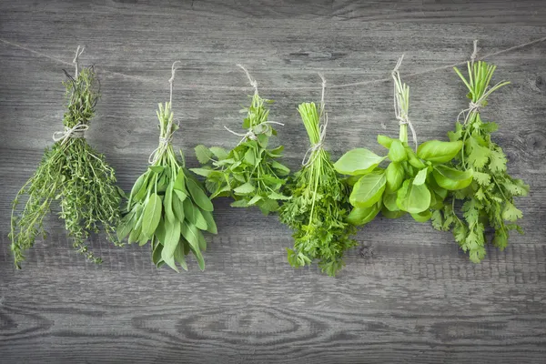 Frische Kräuter — Stockfoto