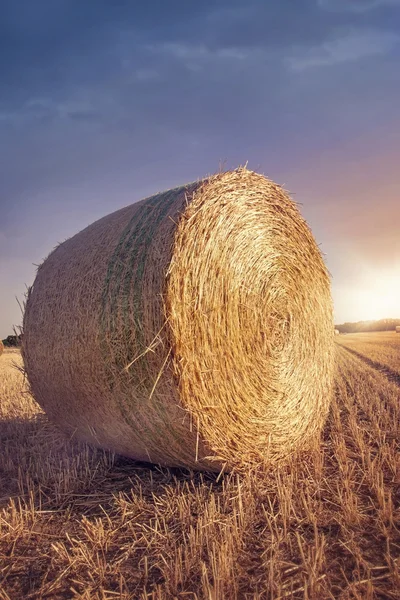 Rundballen aus Stroh Stockbild