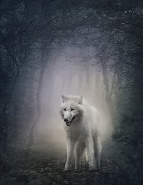 White wolf clipart
