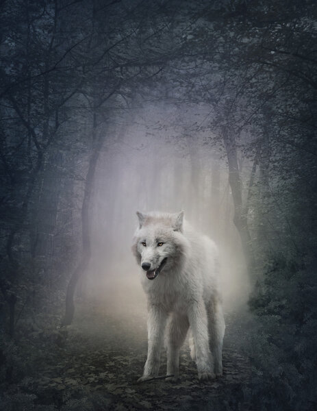 White wolf in the night forest