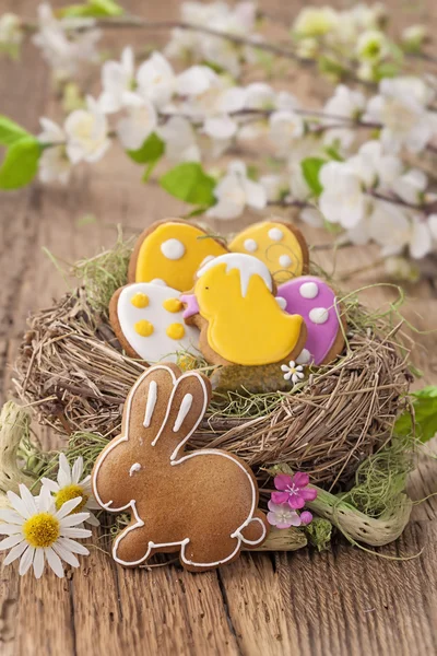 Färgglad påsk cookies — Stockfoto