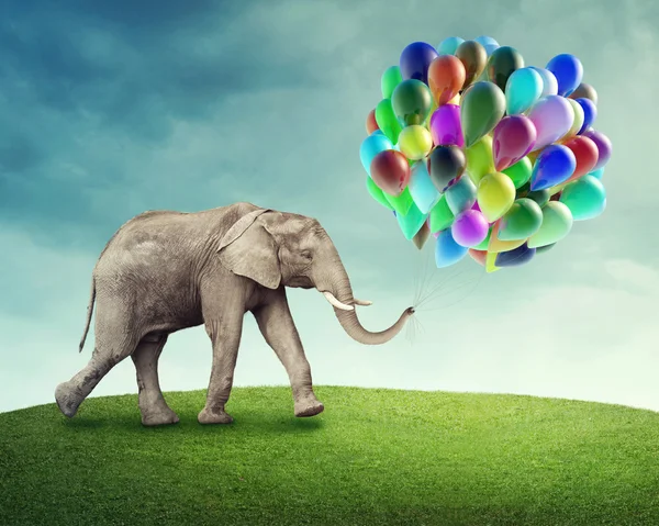 Éléphant avec ballons — Photo