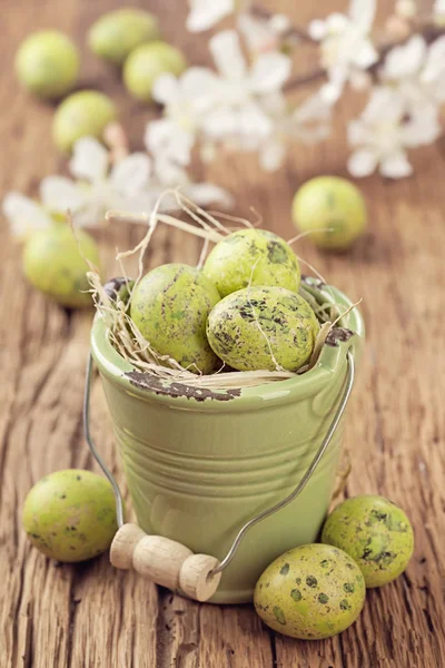 Green easter eggs — Stock Photo, Image