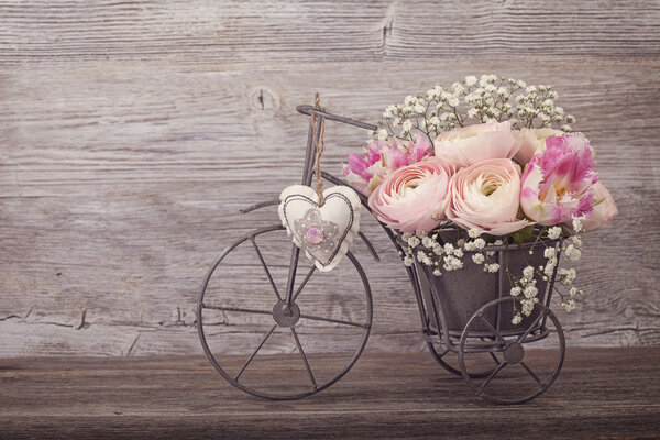 Ranunculus flowers 