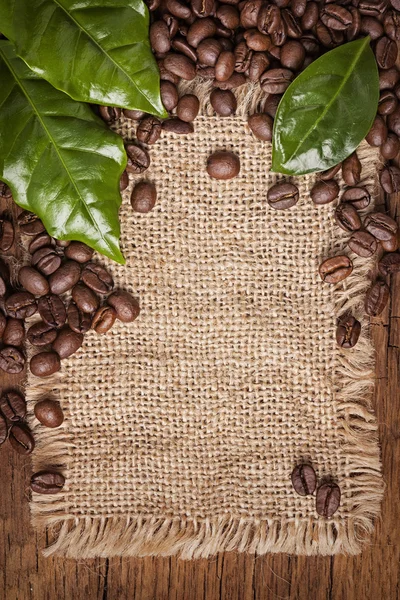 Kávová zrna a zelené listy — Stock fotografie