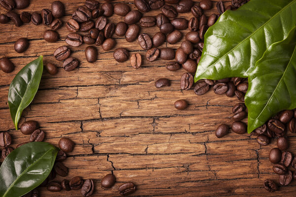 Coffee beans and green leaves 