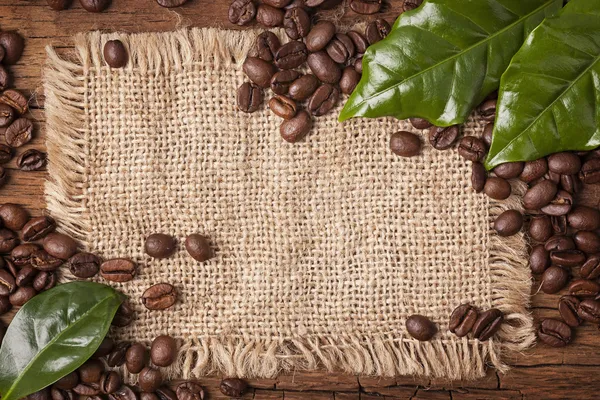 Kaffeebohnen und grüne Blätter — Stockfoto