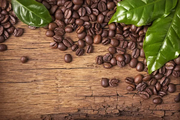 Grãos de café e folhas verdes — Fotografia de Stock