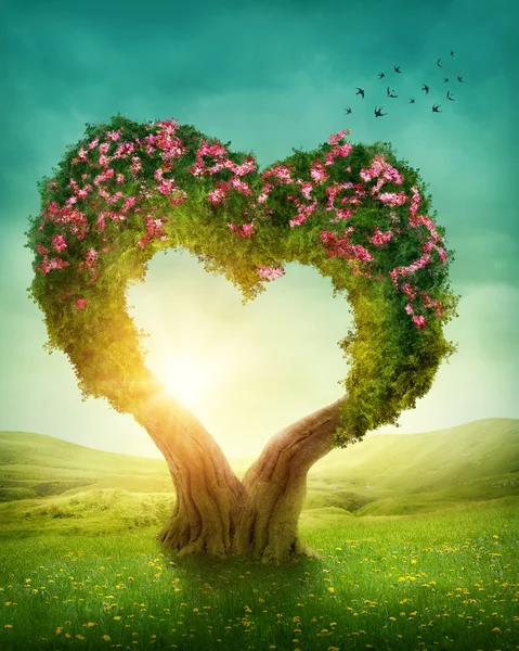 Heart shaped tree — Stock Photo, Image