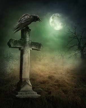 Crow on a grave