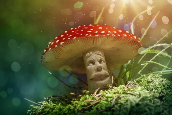 Fantasy mushroom — Stock Photo, Image