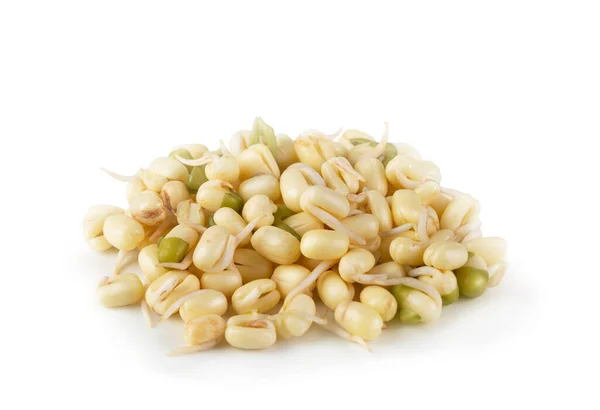 Mung Bean Sprout Izolowane Białym Tle — Zdjęcie stockowe