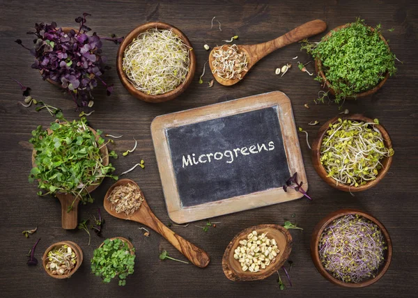 Different Types Microgreens Wooden Background — Stock Photo, Image