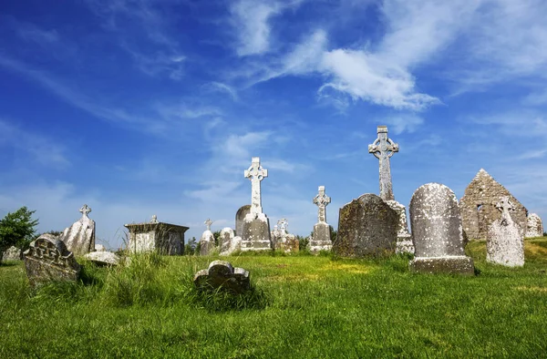 Clonmacnoise Katedrali ile tipik haçlar ve mezar. Manastır kalıntıları. İrlanda