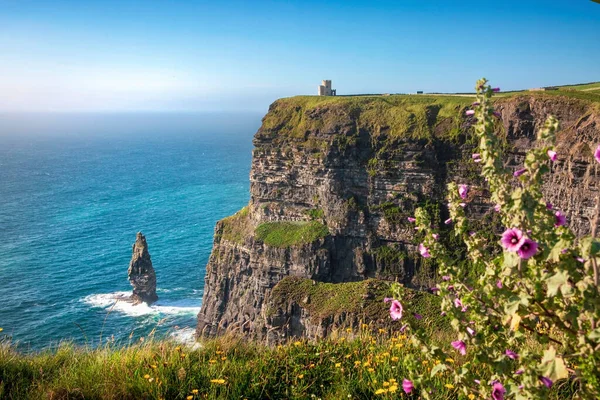 Cliffs Moher County Clare Irland - Stock-foto