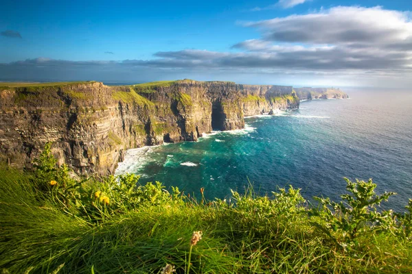 Klipporna Moher County Clare Irland — Stockfoto