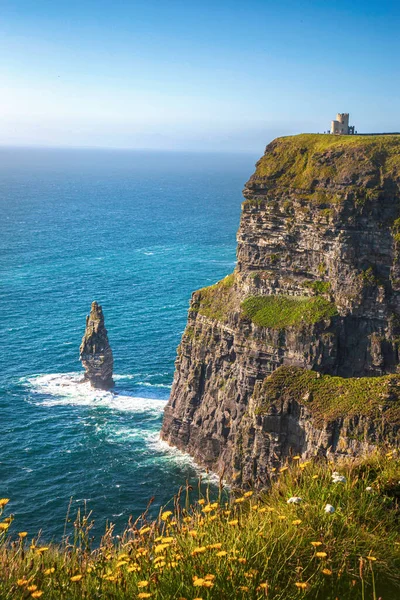 Cliffs Fayer County Clare Ireland — стоковое фото