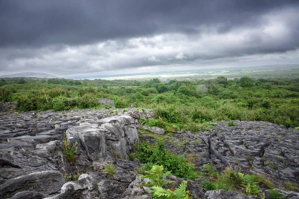 Lough Avalla Loop Walk Ireland Country Clare Burren — Stockfoto