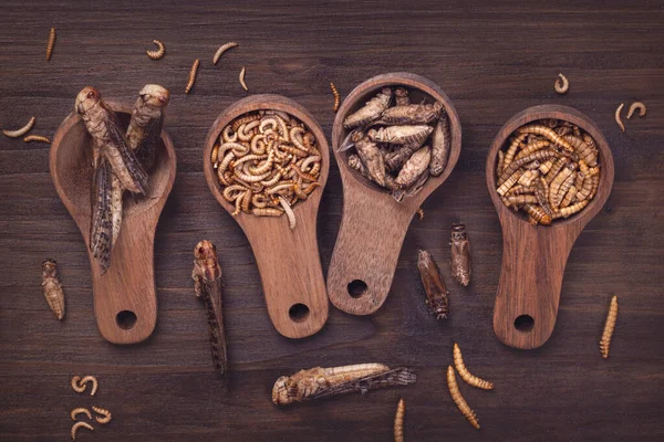 Getrocknete Essbare Insekten Auf Holzboden — Stockfoto