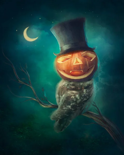 Pumpkin Owl Night — Stock Photo, Image