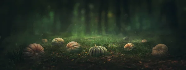 Mörk Mystisk Skog Med Pumpor — Stockfoto