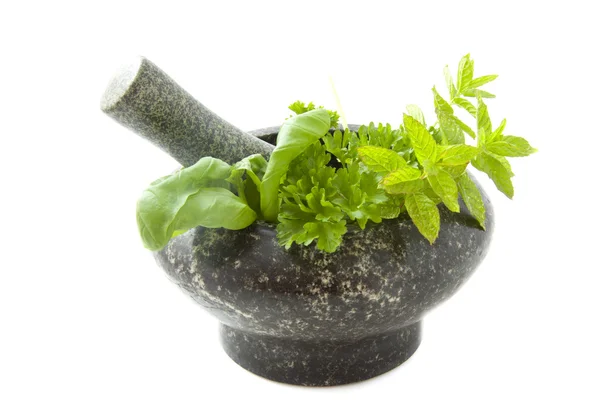 Mortar herbs — Stock Photo, Image