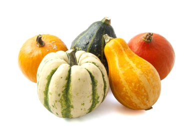 Renkli balkabakları