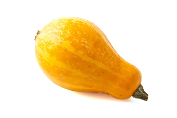 Orange pumpkin — Stock Photo, Image