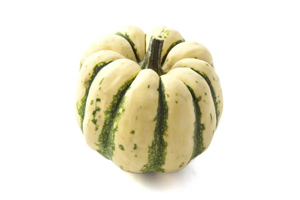 Green white pumpkin — Stock Photo, Image