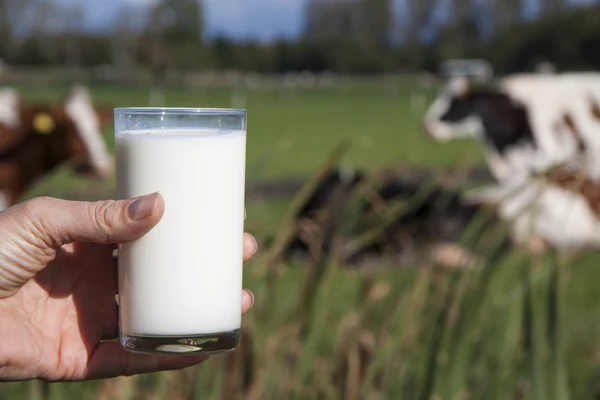 Glas mjölk — Stockfoto