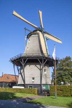 Hollandalı değirmen