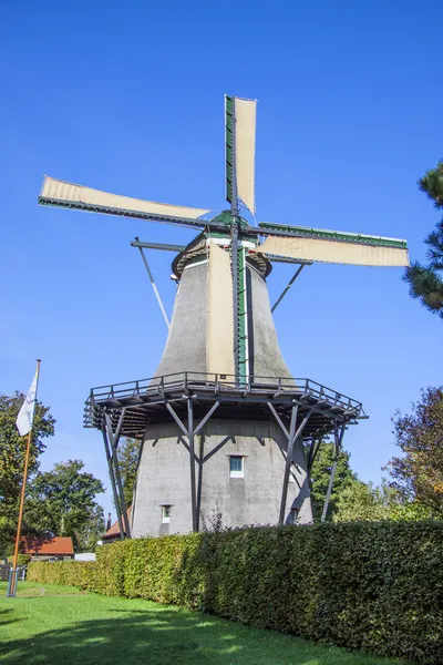 Dutch mill — Stock Photo, Image