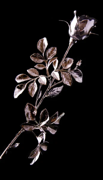 Romantic flower — Stock Photo, Image