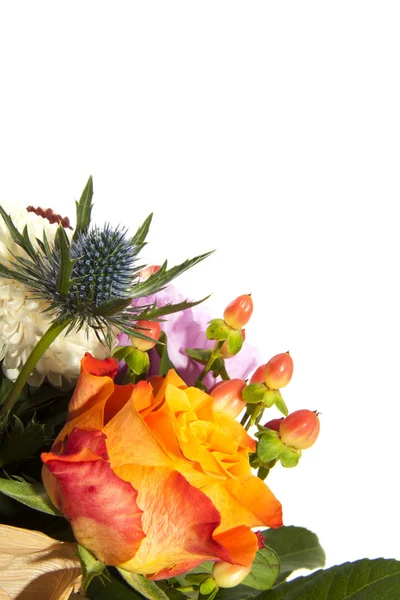 Blomsterkort — Stockfoto