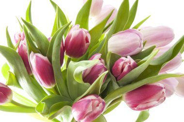 güzel buket laleler