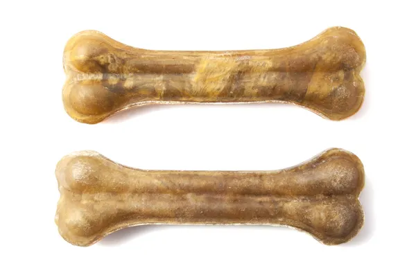 Köpek kemik — Stok fotoğraf