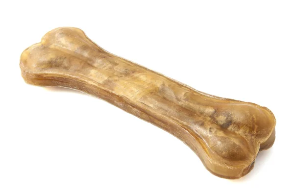 Köpek için kemik — Stok fotoğraf