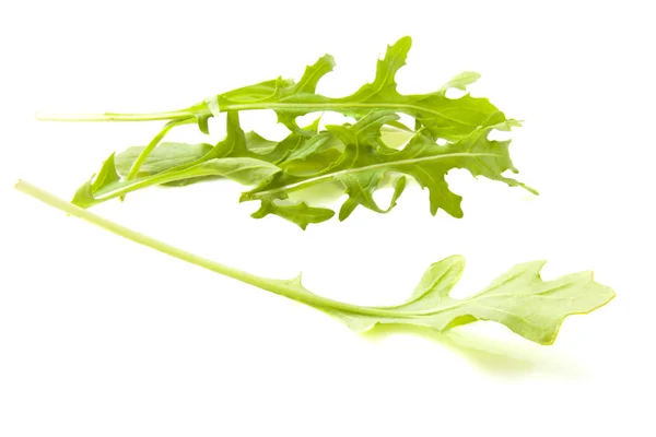 Rucola. — Foto de Stock