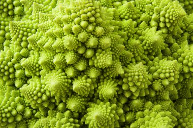 Romanesco
