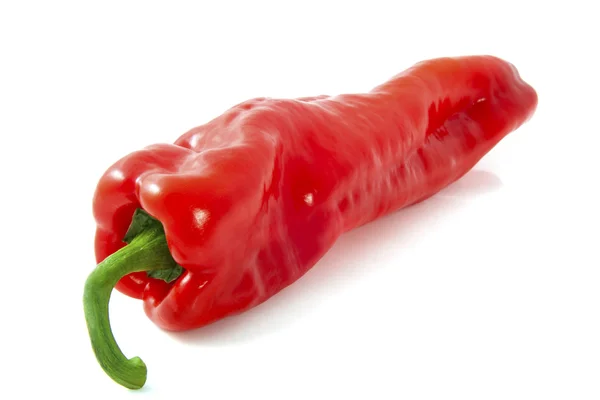 Big paprika — Stock Photo, Image