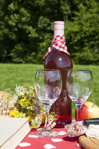 Picnic time — Stock Photo, Image