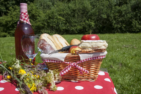 Picknick tijd — Stockfoto