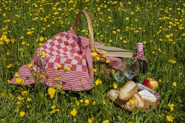 Picknick tid — Stockfoto