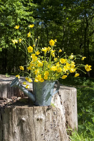 Tin can — Stock Photo, Image