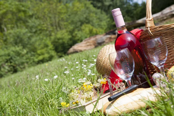 Hora de Picknick — Foto de Stock