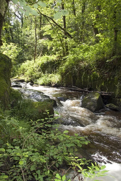 Naturen är vacker — Stockfoto