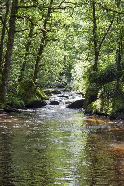 Naturen är vacker — Stockfoto