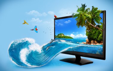 bilgisayar monitörü