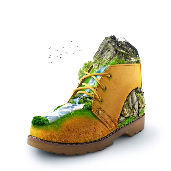 Shoe — Stock Photo, Image