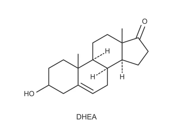 Εικονίδιο DHEA. Dehydroepiandrosterone ορμόνη χημική μοριακή δομή σημάδι απομονώνονται σε λευκό φόντο. Εικονογράφηση διανύσματος — Διανυσματικό Αρχείο